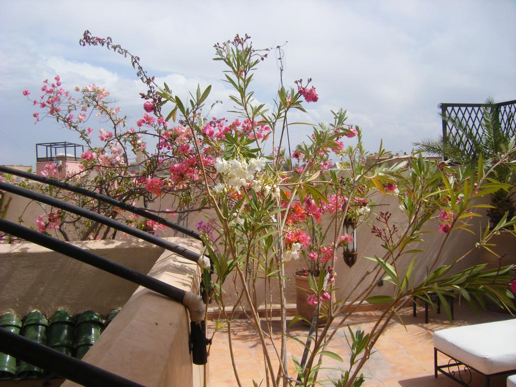 Riad Irene Marrakesh Exterior photo