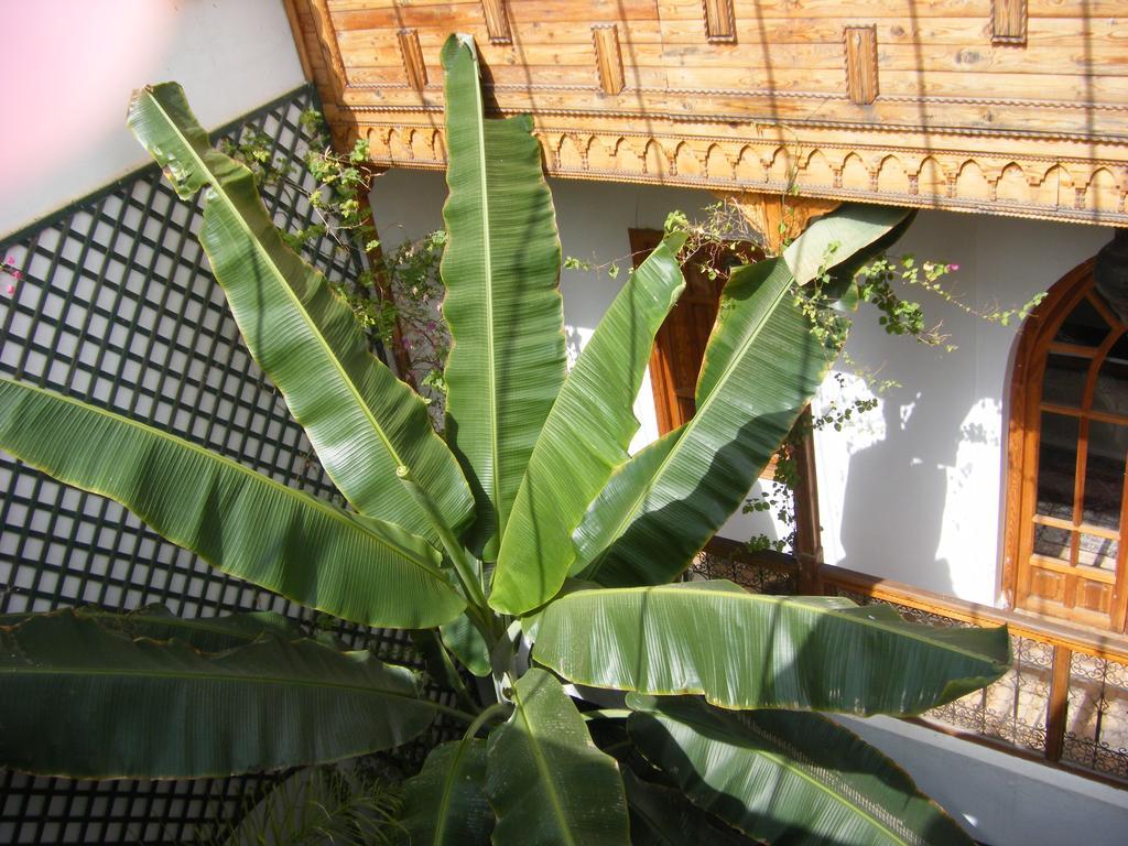 Riad Irene Marrakesh Exterior photo